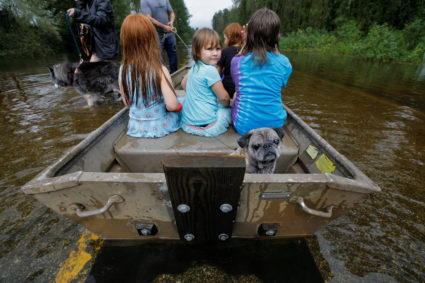 Iva Williamson, 4 years old, peers behind her as she joins neighbors and pets in fleeing rising flood waters in the aftermath of Hurricane Florence in Leland, North Carolina, U.S., September 16, 2018. REUTERS/Jonathan Drake
