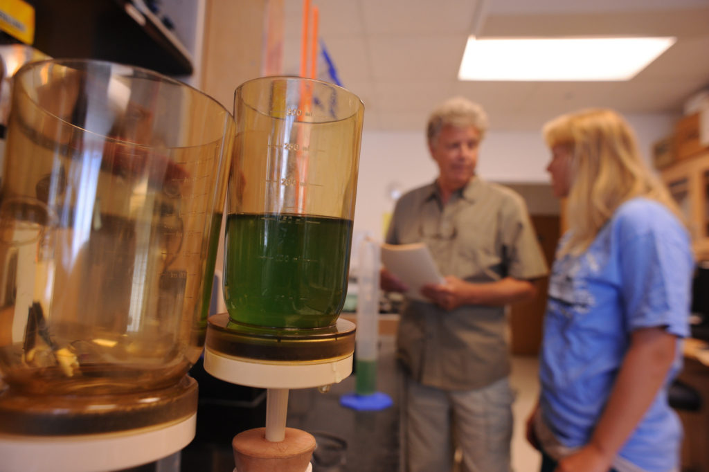 Hurricanes and climate change are leaving behind a trail of harmful algal blooms in North Carolina. It is just one of the ...