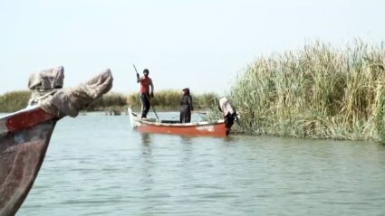 Why Iraq's biblical paradise is becoming a salty wasteland