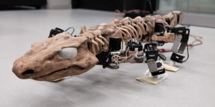OroBOT, a robotic model made of 3D-printed parts and 28 individual motors, can demonstrate how Orobates might have walked 300 million years ago. Image courtesy of Tomislav Horvat and Kamilo Melo