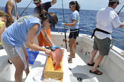 Recreational fishing rules to be overhauled under new law