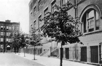 In 1919, 1,376 new Norway Maples were planted along streets in Brooklyn. Photo by Department of Parks of the Borough of Brooklyn, City of New York.