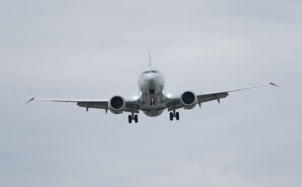 An American Airlines Boeing 737 MAX 8 flight from Los Angeles approaches for landing at Reagan National Airport shortly after an announcement was made by the FAA that the planes were being grounded by the United States over safety issues in Washington, U.S. March 13, 2019. REUTERS/Joshua Roberts