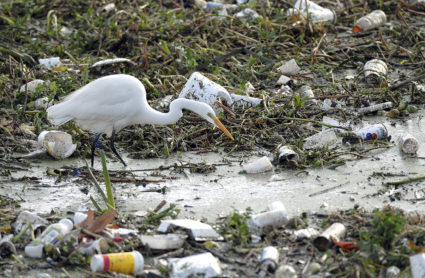 An egret searches for food among trash collected in the Los Angeles River after floods. Plastic trash can harm wildlife like birds, fish, turtles and whales. County of Los Angeles Department Public Works/Bob Riha, Jr.
