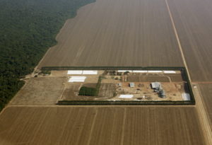 An aerial view shows the Amazon rainforest bordered by a farm and land cleared to prepare for the planting of soybeans, in Mato Grosso, western Brazil, October 2, 2015. Photo by Paulo Whitaker/Reuters