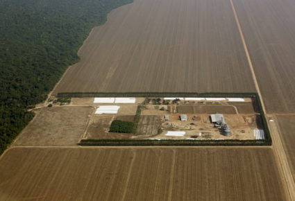 An aerial view shows the Amazon rainforest bordered by a farm and land cleared to prepare for the planting of soybeans, in Mato Grosso, western Brazil, October 2, 2015. Photo by Paulo Whitaker/Reuters