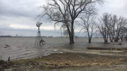 Nearly all of a family’s 2,800-acre farm flooded in Watson, Missouri, after intensive flooding in March along the Missouri River. Photo by The Pew Charitable Trusts