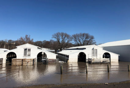 Paddocks at Washington County Fairgrounds are shown underwater due to flooding in Arlington, Nebraska, U.S., March 21, 2019. Photo by REUTERS/Humeyra Pamuk