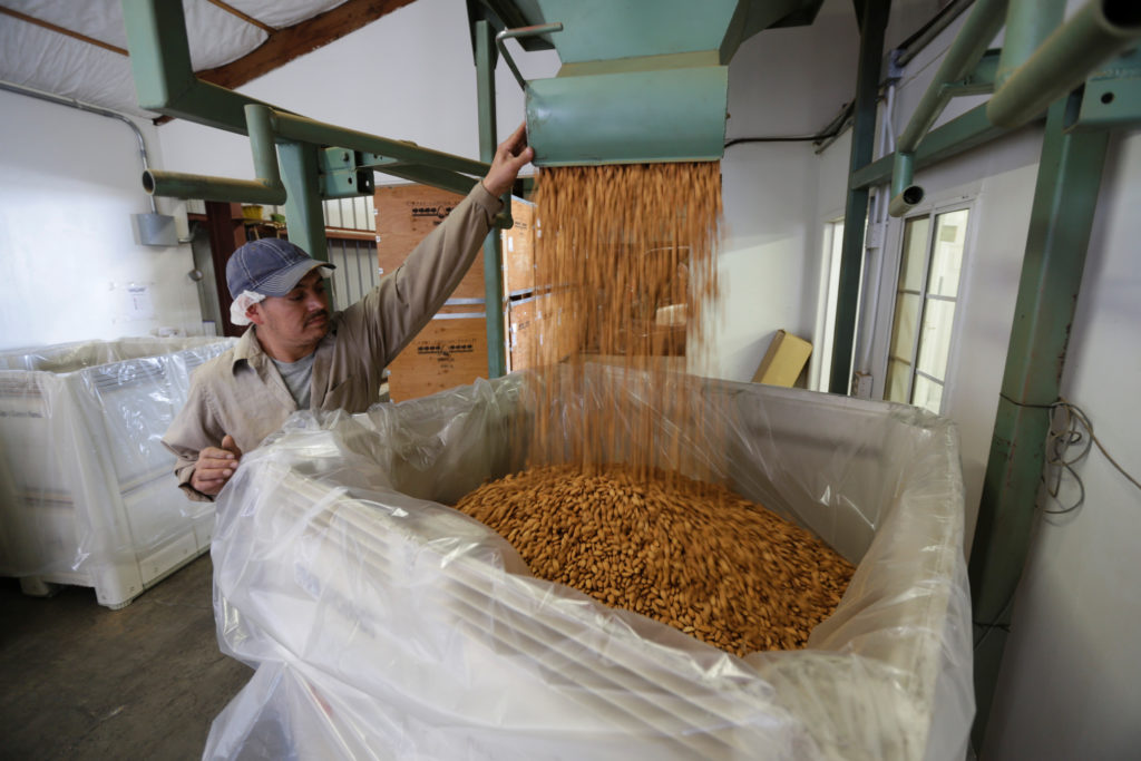 Carmelo Morillo fills a shipping container with almonds at Capay Canyon Ranch in Esparto, California, U.S. April 2, 2018. ...