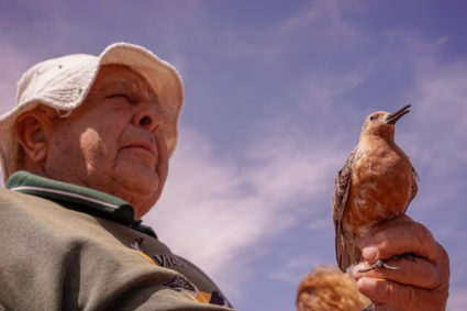 To fight the next major pandemic, flu hunters turn to these animals