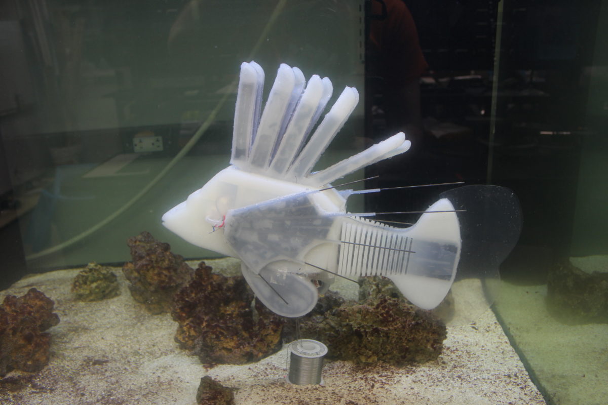 robotic fish project