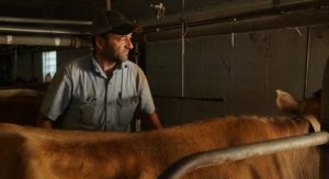 Wisconsin dairy farmers are struggling to stay afloat. In 2018, more than 2,700 dairy farms in the U.S. went out of business, with nearly a third of those closures taking place in Wisconsin.