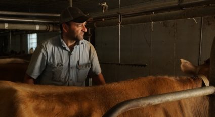Wisconsin dairy farmers are struggling to stay afloat. In 2018, more than 2,700 dairy farms in the U.S. went out of business, with nearly a third of those closures taking place in Wisconsin.