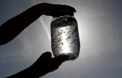 Scientists have designed reusable nano-sized reactors — called nanocoils — that can trigger microplastic breakdown. The work could someday be applied to wastewater, cutting off the flow of microplastics before they are flushed into the environment. Photo by REUTERS/Eric Gaillard
