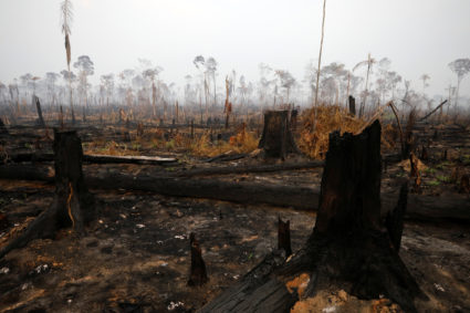 A tract of Amazon jungle after a fire in Boca do Acre, Amazonas state, Brazil August 24, 2019. REUTERS/Bruno Kelly