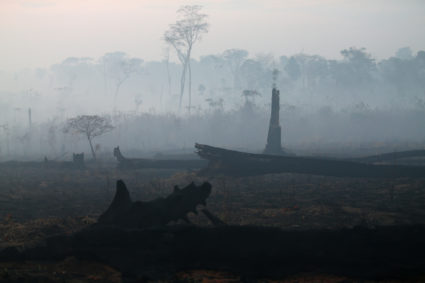 A burned tract of Amazon jungle is pictured as it is cleared by loggers and farmers near Porto Velho, Brazil August 28, 2019. Photo by Ricardo Moraes/Reuters
