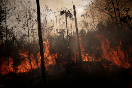 A burning tract of Amazon jungle is seen while as it is being cleared by loggers and farmers in Porto Velho, Brazil August 23, 2019. Photo by Ueslei Marcelino/Reuters