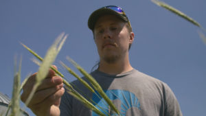 Iowa Sustainable Farming, Future of Food