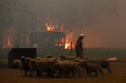Rural Fire Service (RFS) crews engage in property protection of a number of homes along the Old Hume Highway near the town of Tahmoor as the Green Wattle Creek Fire threatens a number of communities in the southwest of Sydney, Australia, December 19, 2019. Photo by Dean Lewins via Reuters
