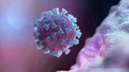 A computer image created by Nexu Science Communication together with Trinity College in Dublin, shows a model structurally representative of a betacoronavirus which is the type of virus linked to COVID-19, better known as the coronavirus linked to the Wuhan outbreak, shared with Reuters on February 18, 2020. NEXU Science Communication/via Reuters