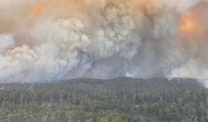 How ash and debris are choking Australia&rsquo;s rivers