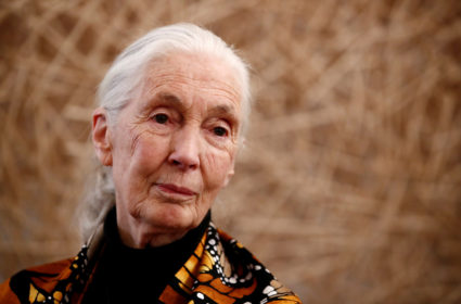 Why Jane Goodall says human disregard for nature led to the coronavirus pandemic