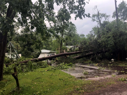 At least 7 dead as storms hit southern states | PBS News