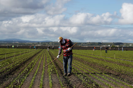 How the COVID-19 pandemic is sending American agriculture into chaos