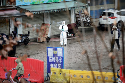 Debate resurfaces over origins of novel coronavirus