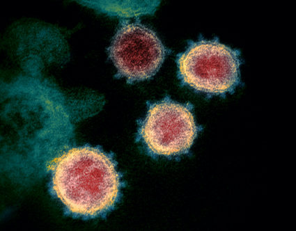A virologist answers viewer questions about coronavirus transmission