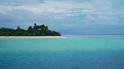 “Island of Seabirds” to the Samoan people, Rose Atoll Marine National Monument is a major nesting site to a dozen bird species, as well as green sea turtles and other wildlife.
