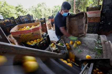 USDA plans additional $14 billion for farmers reeling from coronavirus