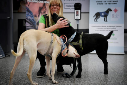 Finland deploys coronavirus-sniffing dogs at main airport