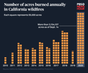 California’s catastrophic wildfires in 3 charts | PBS News