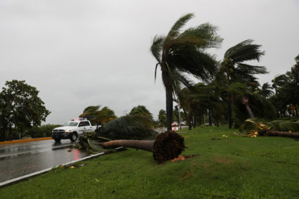 Hurricane Delta makes landfall in Mexico, toppling trees