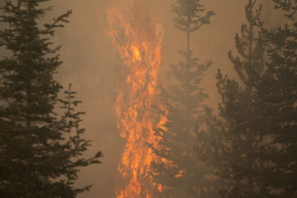 Wildfires blasting through West draw states to lend support