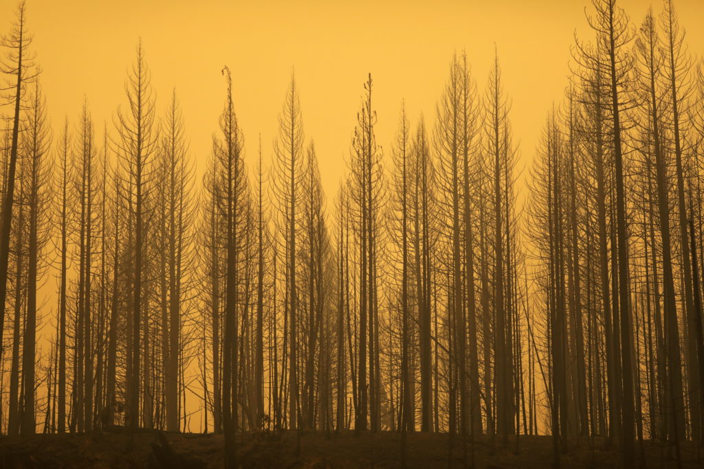 Dixie Fire is California’s largest active fire