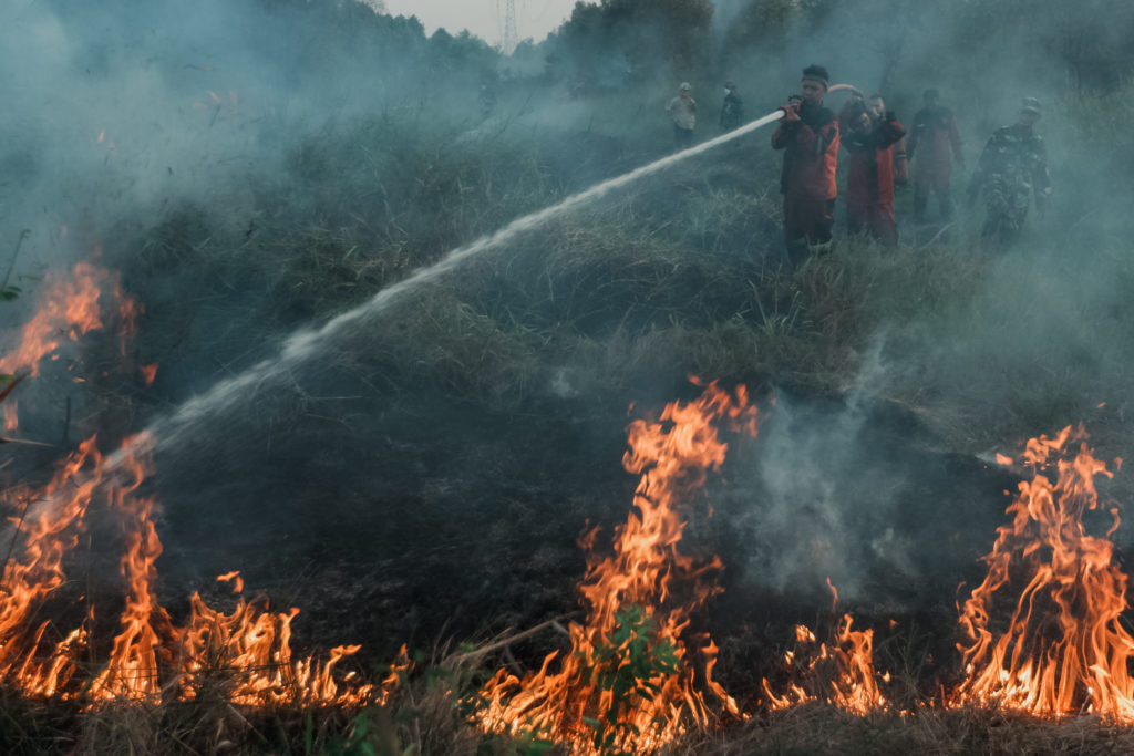 Firefighters Try To Extinguish Peatland Forest In South Sumatra, Indonesia