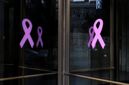 Chicago Cityscapes And City Views