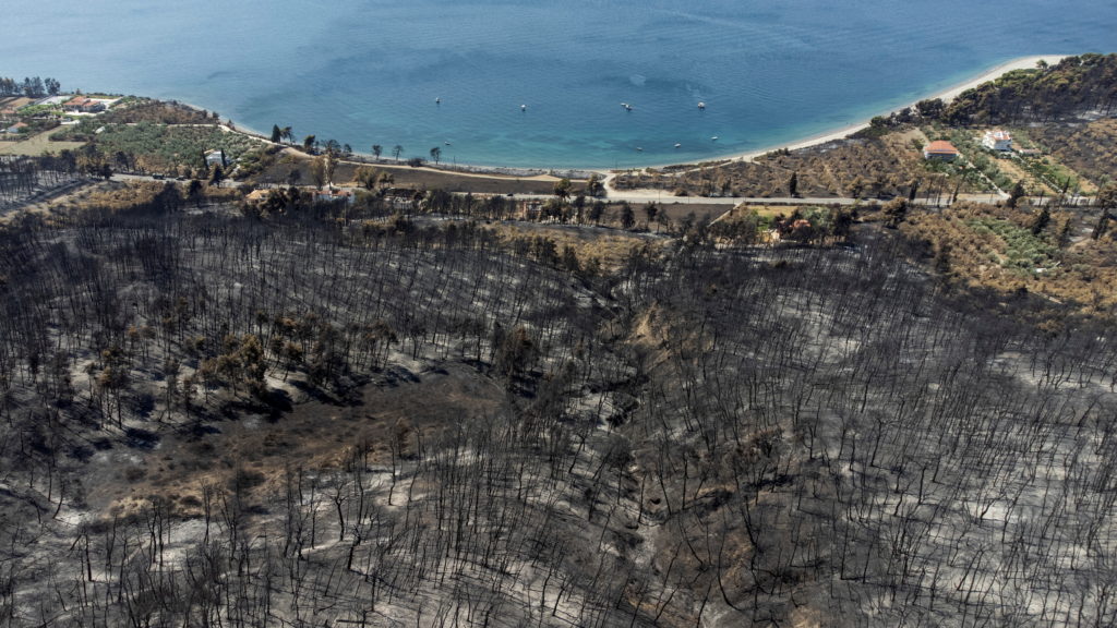 Wildfire on the island of Evia