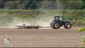 indianafarmer
