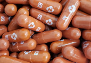 FILE PHOTO: A handout photo of an experimental COVID-19 treatment pill, called molnupiravir and being developed by Merck &...