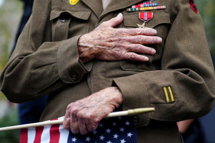 Veterans Day Parade in New York