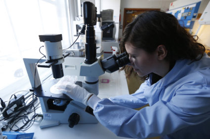 State Department plans on policy changes to woo international STEM students