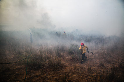 Wildfires Rage On in Argentine Wetlands
