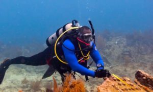 diving