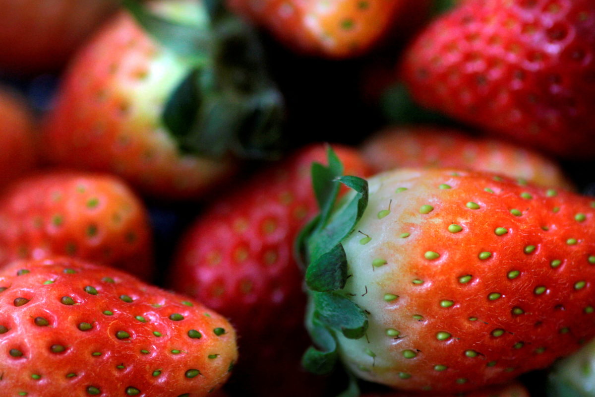 Hepatitis outbreak in U.S. and Canada linked to strawberries PBS NewsHour