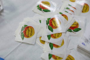 Georgia Primary Election Day voting