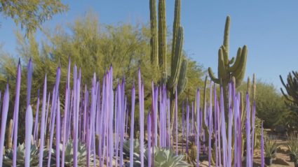 ChihulyInTheDesert