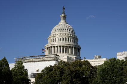 FILE PHOTO: A general view of the U.S. Capitol dome on Capitol Hill in Washington